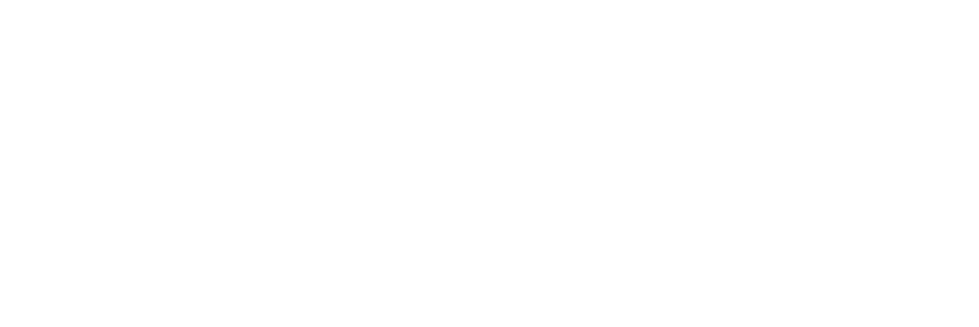 GFibra